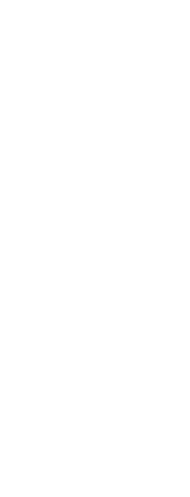 Digital Impact Awards Grand Prix
