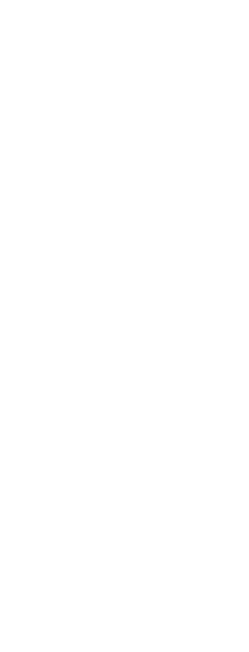 Digital Impact Awards Grand Prix