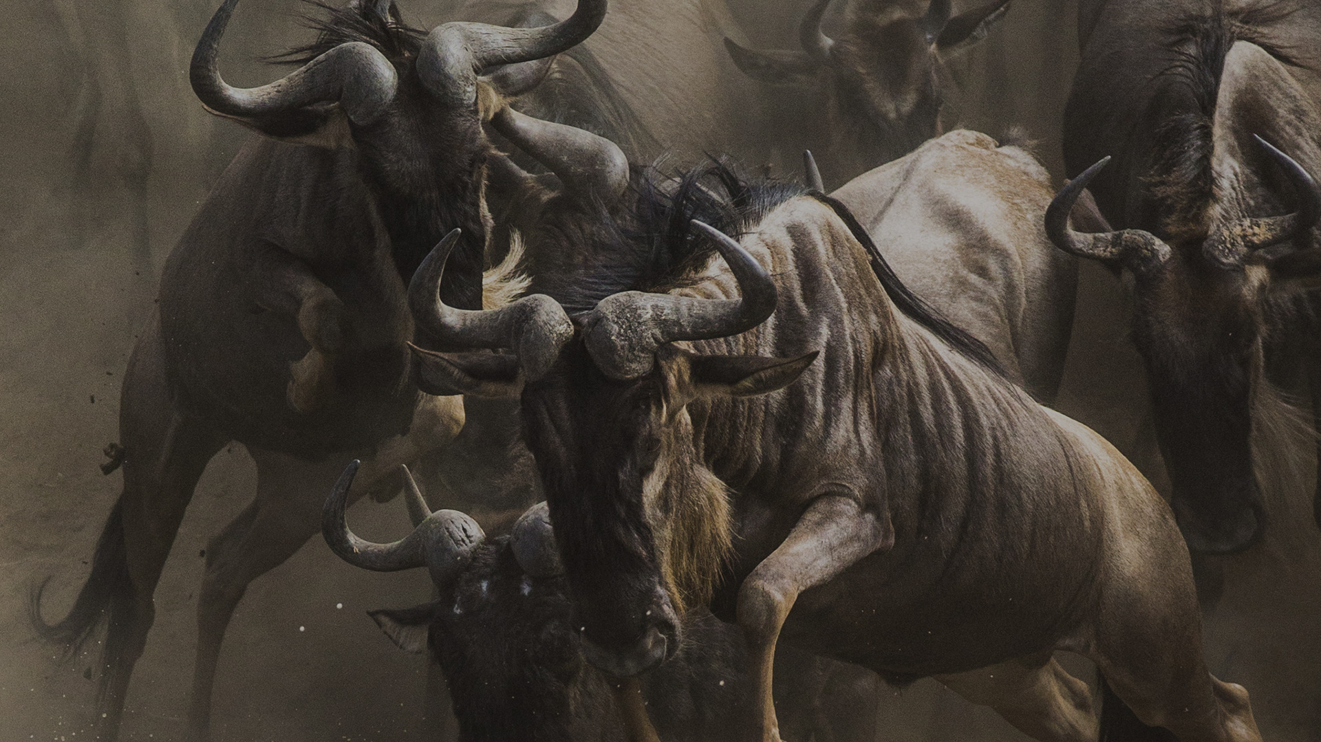 Reuters Plus / Narok County Government — Moments of Wonder