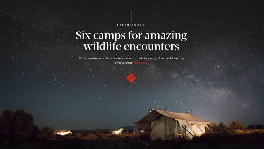 Moments of Wonder &mdash; editorial content and photography