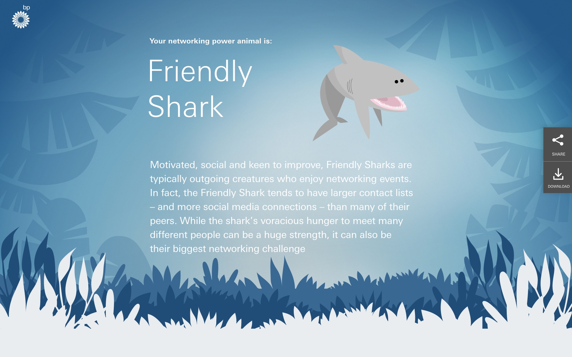 Friendly Shark
