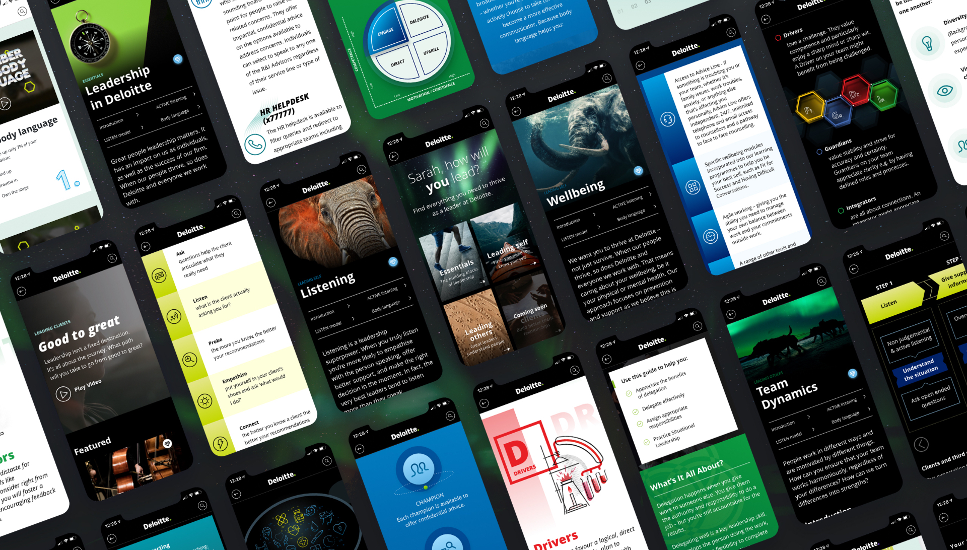 Develop Deloitte &mdash; screens from the leadership toolkit