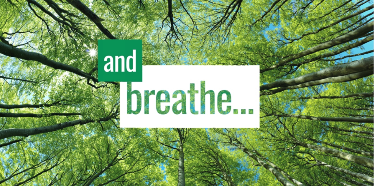 Modern Learning — Learning Pack 6