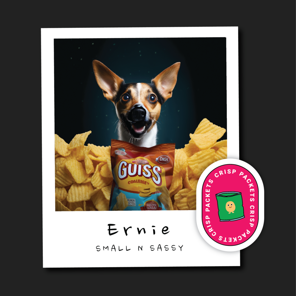 Ernie the crisp packet bin dog